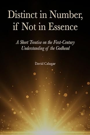 Distinct in Number, if Not in Essence Book Cover